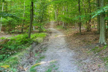 2022-0006-0916-0158-LF1
