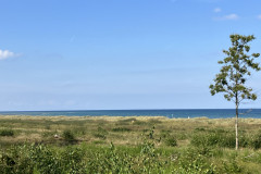 2023-0108-0916-0023-LF1