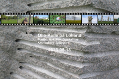 2023-0101-0513-0001-LF1