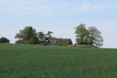 2023-0101-0513-0049-LF1