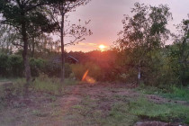2023-0107-0515-0137-LF1